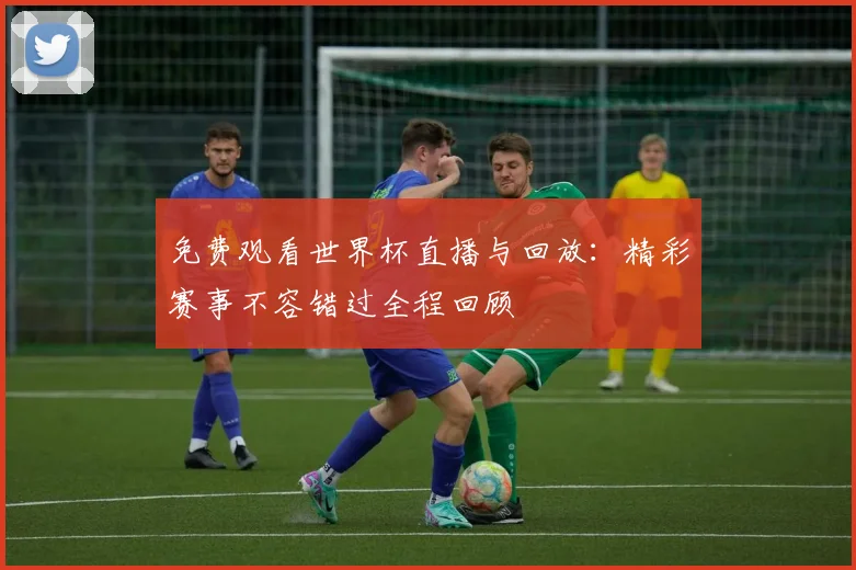 免费观看世界杯直播与回放：精彩赛事不容错过全程回顾