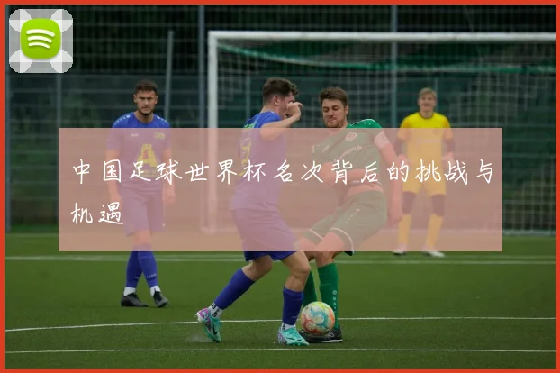 中国足球世界杯名次背后的挑战与机遇