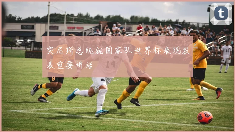 突尼斯总统就国家队世界杯表现发表重要讲话