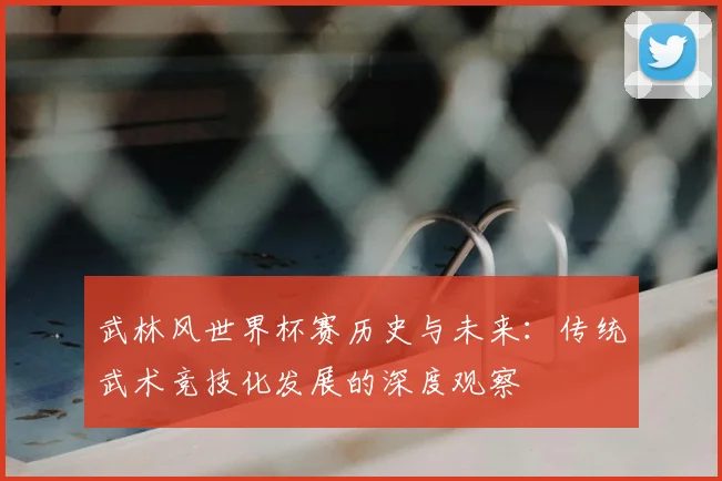 武林风世界杯赛历史与未来：传统武术竞技化发展的深度观察