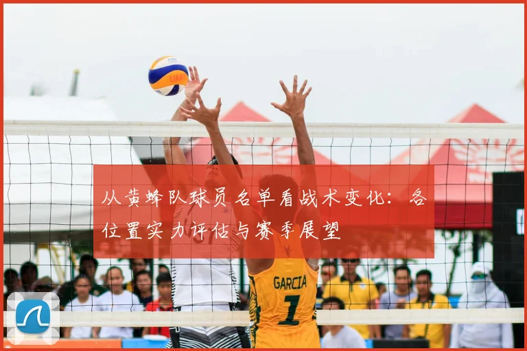 从黄蜂队球员名单看战术变化：各位置实力评估与赛季展望