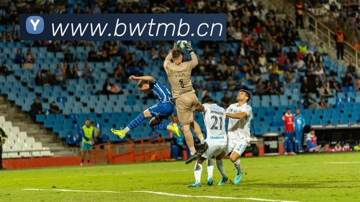 星空体育网页登录版平台生态图